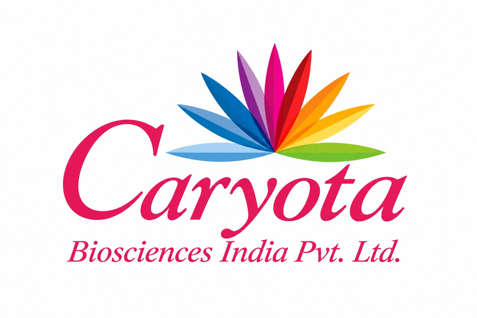 Caryota